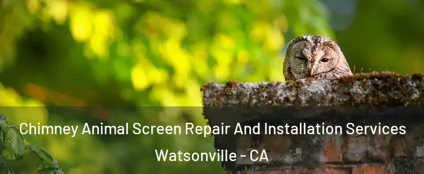  Chimney Animal Screen Repair And Installation Services Watsonville - CA