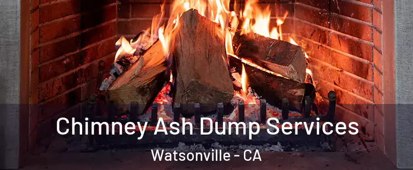  Chimney Ash Dump Services Watsonville - CA
