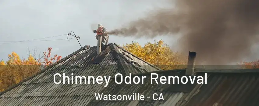  Chimney Odor Removal Watsonville - CA