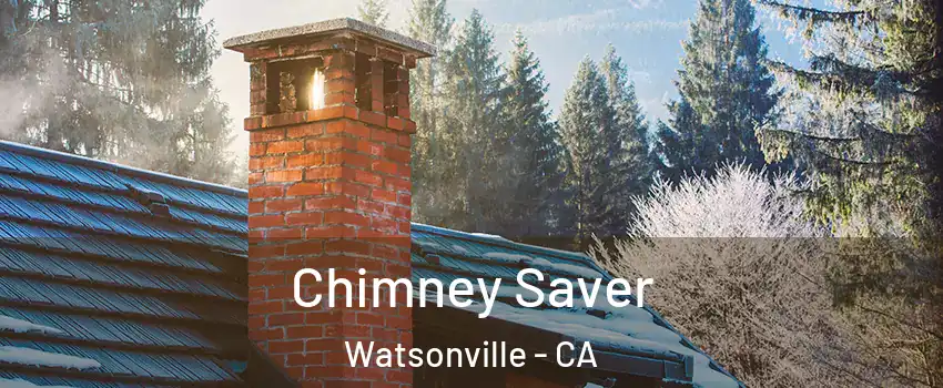  Chimney Saver Watsonville - CA