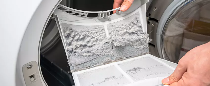 Best Dryer Lint Removal Company in Watsonville, California