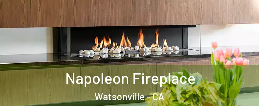  Napoleon Fireplace Watsonville - CA