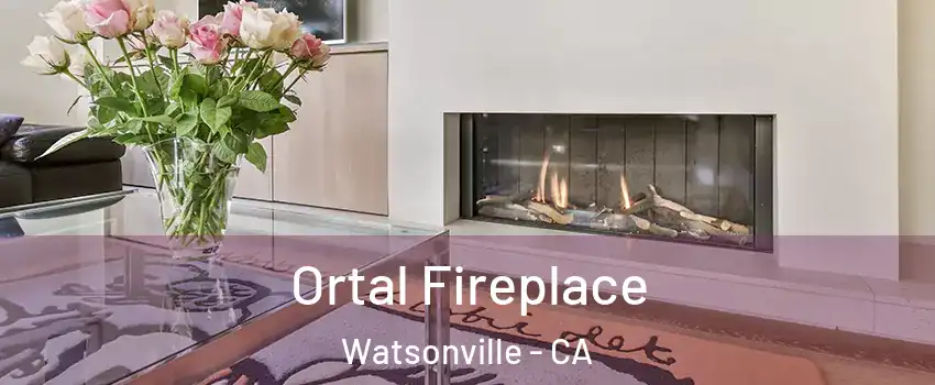 Ortal Fireplace Watsonville - CA